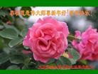 Published on 1/1/2013 ���ֹ�,��½�󷨵��ӹ�ףʦ��Ԫ�����֣�105����
