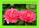 Published on 1/1/2013 ���ֹ�,��½�󷨵��ӹ�ףʦ��Ԫ�����֣�104����
