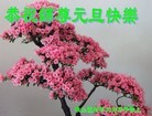 Published on 1/1/2013 ���ֹ�,��½�󷨵��ӹ�ףʦ��Ԫ�����֣�129����
