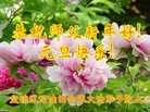 Published on 1/1/2013 ���ֹ�,�й�����ҵ�󷨵��ӹ�ףʦ��Ԫ������
