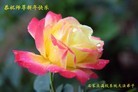 Published on 1/1/2013 ���ֹ�,����ϵͳ�󷨵��ӹ�ףʦ���������
