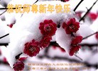 Published on 1/1/2013 ���ֹ�,���Ƿ���Ѻ�Ĵ󷨵��ӹ�ףʦ�������
