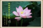 Published on 1/1/2013 ���ֹ�,����ϵͳ�󷨵��ӹ�ףʦ���������
