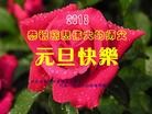 Published on 1/1/2013 ���ֹ�,��½�������󷨵��ӹ�ףʦ�������
