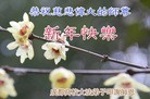 Published on 1/1/2013 ���ֹ�,����ϵͳ�󷨵��ӹ�ףʦ���������
