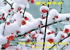 Published on 1/1/2013 ���ֹ�,��½�󷨵��ӹ�ףʦ��Ԫ�����֣�99����
