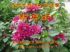 Published on 1/1/2013 ���ֹ�,����ϵͳ�󷨵��ӹ�ףʦ���������
