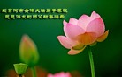 Published on 1/1/2013 ���ֹ�,��½�󷨵��ӹ�ףʦ��Ԫ�����֣�133����

