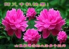 Published on 9/30/2012 ���ֹ�,��½��ѧԱ��ףʦ���������
