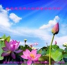 ���ֹ�,���������󷨵��ӹ�ףʦ������ã�155����
