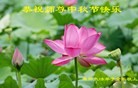 Published on 9/30/2012 ���ֹ�,��½�󷨵��ӹ�ףʦ��������֣�103����
