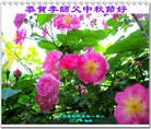 Published on 9/30/2012 ���ֹ�,��½���󷨵��ӹ�ףʦ�������
