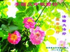 Published on 9/30/2012 ���ֹ�,��½���󷨵��ӹ�ףʦ�������
