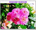 Published on 9/30/2012 ���ֹ�,��½�󷨵��ӹ�ףʦ��������֣�103����
