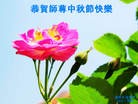 Published on 9/30/2012 ���ֹ�,��½�󷨵��ӹ�ףʦ��������֣�103����
