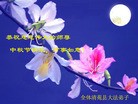 Published on 9/30/2012 ���ֹ�,��½�󷨵����ʺ�ʦ������ã�118����
