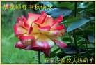 Published on 9/30/2012 ���ֹ�,��½�󷨵����ʺ�ʦ������ã�108����
