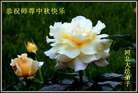 Published on 9/30/2012 ���ֹ�,��½�󷨵����ʺ�ʦ������ã�108����
