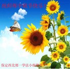 ���ֹ�,���������󷨵��ӹ�ףʦ������ã�72����
