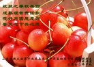 Published on 9/30/2012 ���ֹ�,��½�󷨵����ʺ�ʦ������ã�112����

