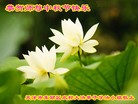 Published on 9/30/2012 ���ֹ�,��½���󷨵��ӹ�ףʦ�������
