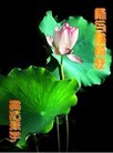 Published on 2/13/2013 ���ֹ�,��ҵʯ�͵�����·ϵͳ������ʦ����꣨29����
