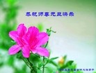 Published on 1/3/2013 ���ֹ�,��½�󷨵��ӹ�ףʦ��Ԫ�����֣�72����
