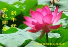 Published on 1/3/2013 ���ֹ�,��½�󷨵��ӹ�ףʦ��Ԫ�����֣�41����
