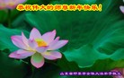 Published on 1/3/2013 ���ֹ�,��½�󷨵��ӹ�ףʦ��Ԫ�����֣�72����
