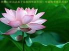 Published on 1/2/2013 ���ֹ�,��½�󷨵��ӹ�ףʦ��Ԫ�����֣�49����

