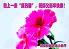 Published on 2/7/2013 ���ֹ�,��½��С���ӹ�ףʦ���������(14��)
