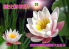 Published on 2/10/2013 ���ֹ�,��½���Ӵ󷨵��ӹ�ףʦ������ã�15����
