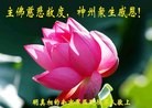 Published on 2/7/2013 ���ֹ�,����������۾��ٵȹ�ף���ʦ�������(11��)
