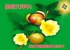 Published on 2/10/2013 ���ֹ�,��½���Ӵ󷨵��ӹ�ףʦ������ã�15����
