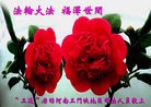 Published on 2/7/2013 ���ֹ�,����������۾��ٵȹ�ף���ʦ�������(11��)
