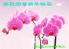 Published on 2/13/2013 ���ֹ�,��½�󷨵��ӹ�ףʦ������ã�33����
