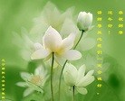 Published on 2/7/2013 ���ֹ�,�����д󷨵��ӹ�ףʦ�������(19��)
