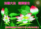 Published on 2/10/2013 ���ֹ�,��½���Ӵ󷨵��ӹ�ףʦ������ã�15����
