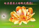 Published on 2/10/2013 ���ֹ�,��½���һ��ش󷨵�����ʦ����꣨14����
