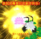 ���ֹ�,�人�󷨵��ӹ�ףʦ������ã�17����
