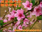 Published on 2/8/2013 ���ֹ�,����ҵ�󷨵��ӹ�ףʦ������ã�19����
