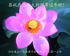 Published on 2/8/2013 ���ֹ�,���󷨵��ӹ�ףʦ������ã�17����
