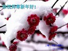 Published on 2/9/2013 ���ֹ�,����ҵ�󷨵��ӹ�ףʦ������ã�24����
