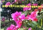 Published on 2/13/2013 ���ֹ�,��½�󷨵��ӹ�ףʦ������ã�23����
