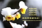 Published on 2/11/2013 ���ֹ�,���Ƿ���Ѻ�󷨵��ӹ�ףʦ������ã�21����
