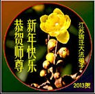 ���ֹ�,���մ󷨵��ӹ�ףʦ������ã�15����
