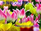 Published on 2/8/2013 ���ֹ�,���󷨵��ӹ�ףʦ������ã�17����

