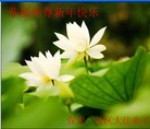 Published on 2/7/2013 ���ֹ�,�����󷨵��ӹ�ףʦ�������(18��)
