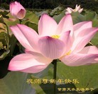 ���ֹ�,����󷨵��ӹ�ףʦ������(18��)
