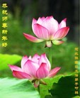 Published on 2/7/2013 ���ֹ�,�żҿڴ󷨵��Ӹ�ʦ�����(21��)
